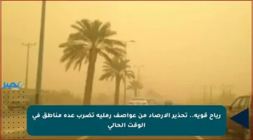 رياح قوية.. تحذير الأرصاد من عواصف رملية تضرب عدة مناطق في الوقت الحالي